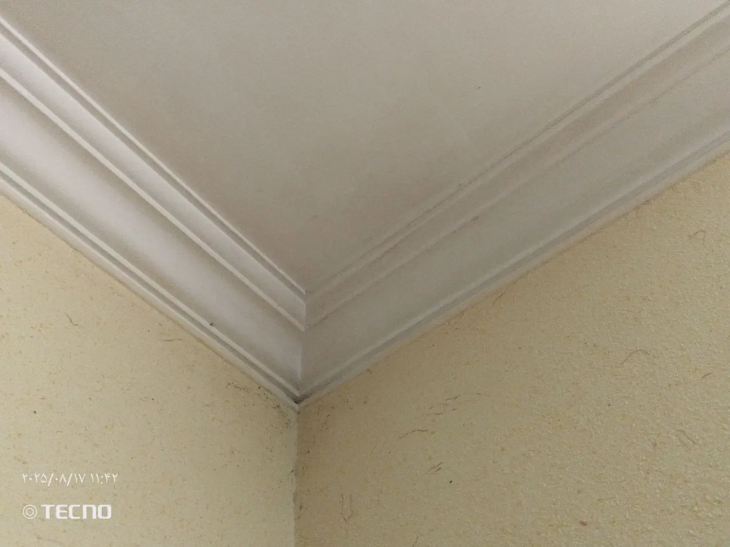 گچکاری|خدمات پیشه و مهارت|مشهد, نیزه|دیوار