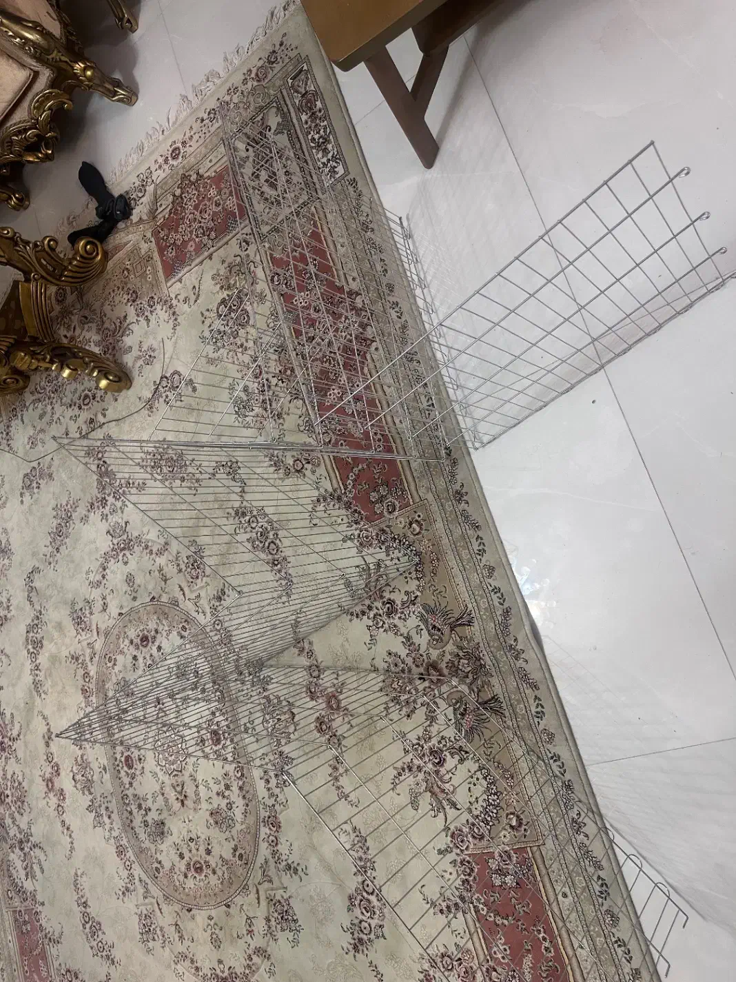 پارک سگ ۸ظلعی|لوازم جانبی حیوانات|گرگان, |دیوار