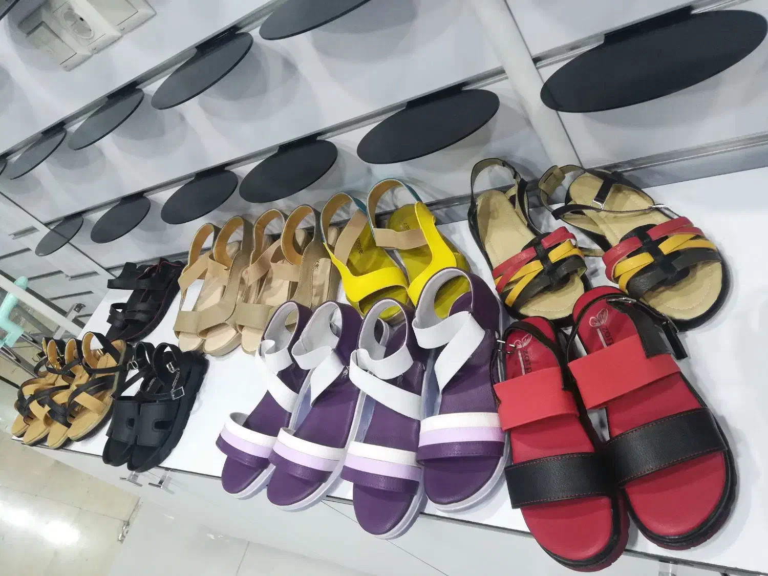 کفش و صندل زنانه|کیف، کفش، کمربند|بندرعباس, |دیوار