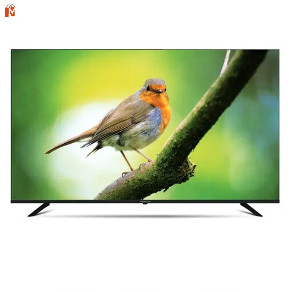 تلویزیون 65سونیا QLED|تلویزیون و پروژکتور|نورآباد, |دیوار