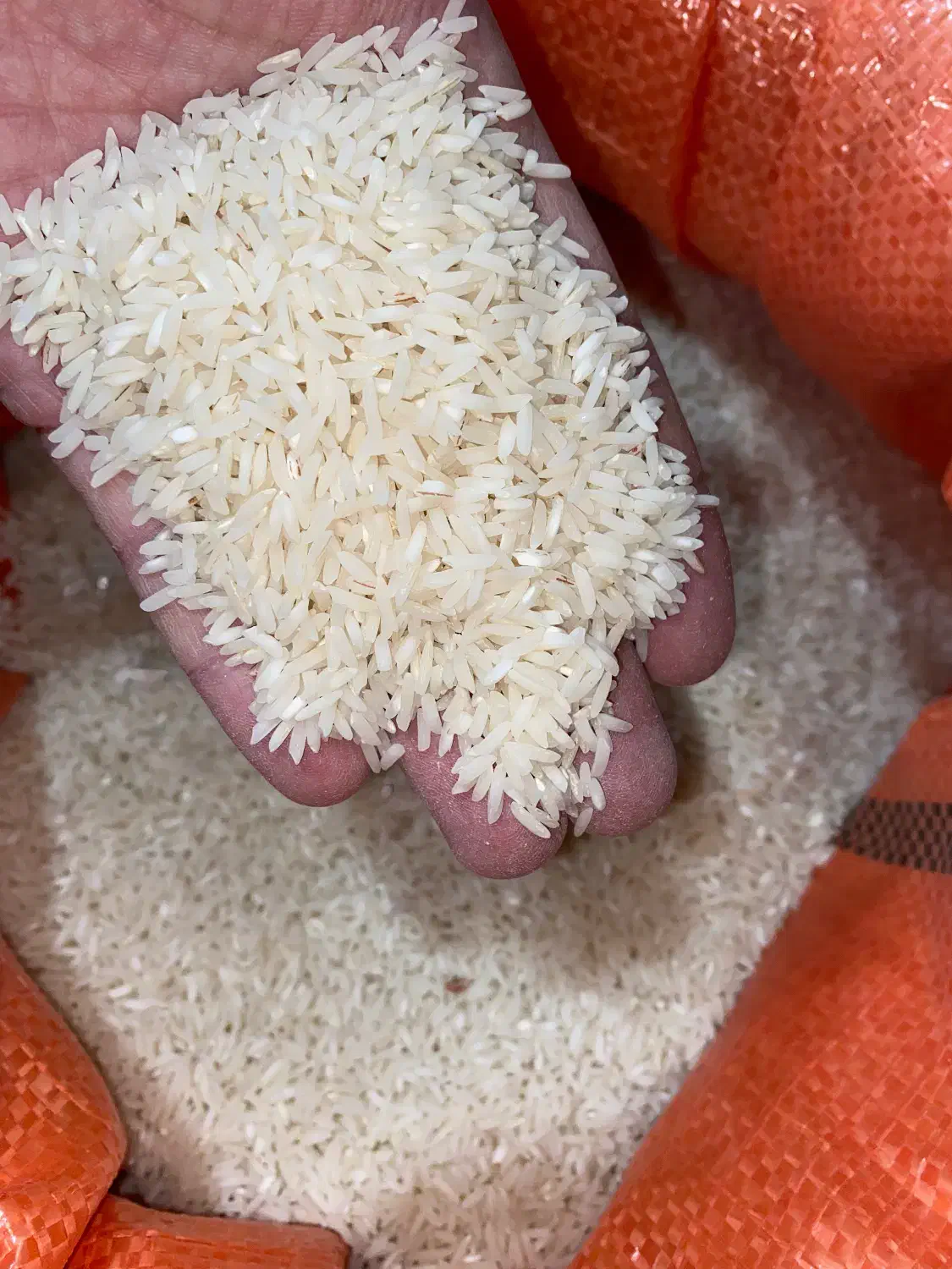 برنج صدری درجه یک گیلان زیر قیمت|خوردنی و آشامیدنی|دالخانی, |دیوار