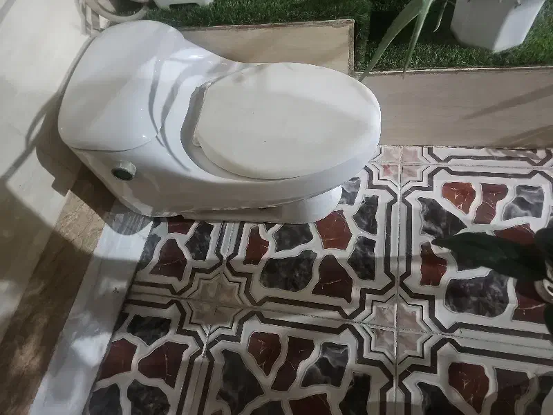 دسشویی فرنگی|لوازم سرویس بهداشتی|چغادک, |دیوار