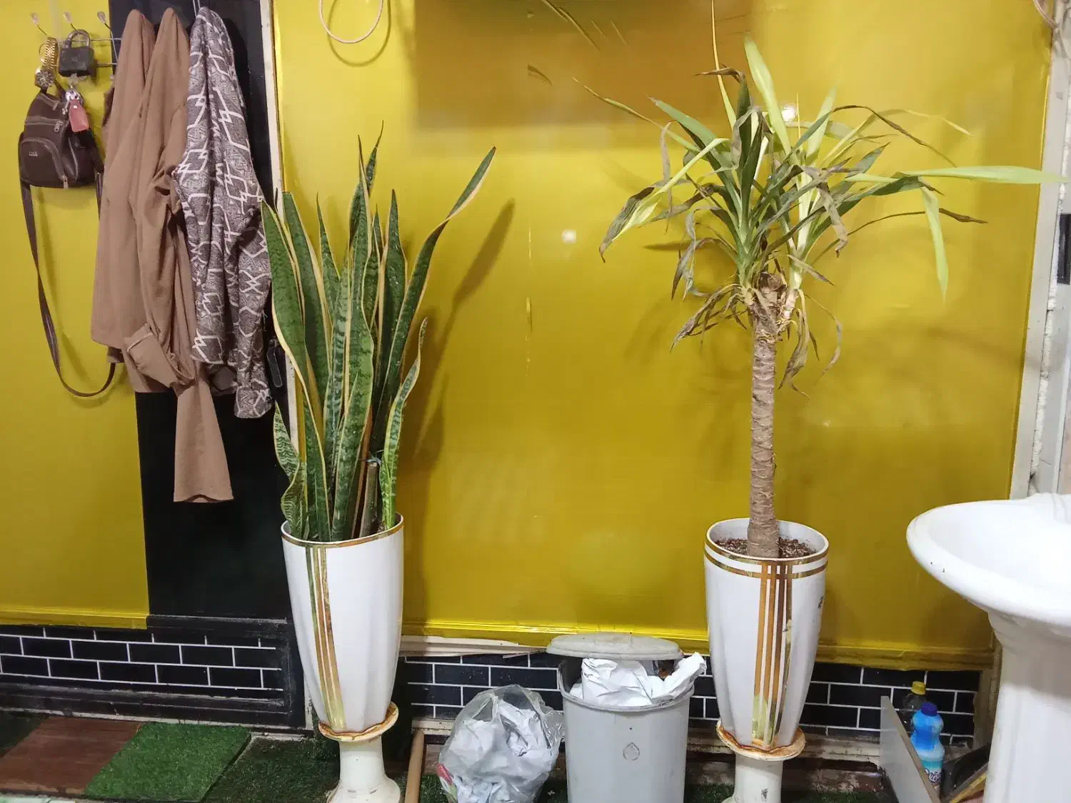 واگذاری کافه ساندویچ|اجارهٔ مغازه و غرفه|کوهدشت, |دیوار