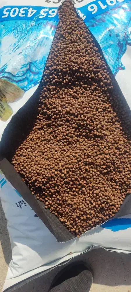 غذای خشک گربه سگ اشانتیون کنسرو قیمت پخش|لوازم جانبی حیوانات|تهران, شیخ هادی|دیوار