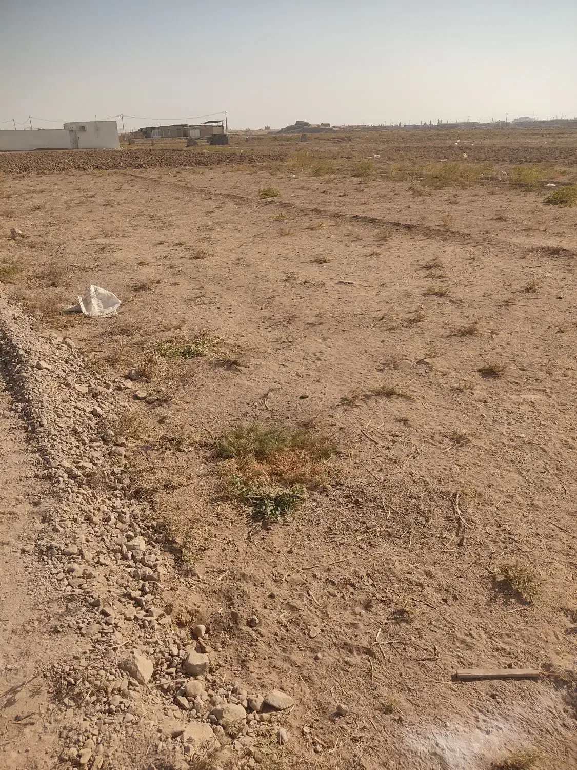 زمین فروشی|فروش زمین و ملک کلنگی|آران و بیدگل, |دیوار