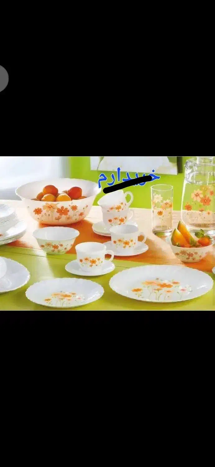 آرکوپال لومینارک فرانسه|ظروف سرو و پذیرایی|سنندج, |دیوار