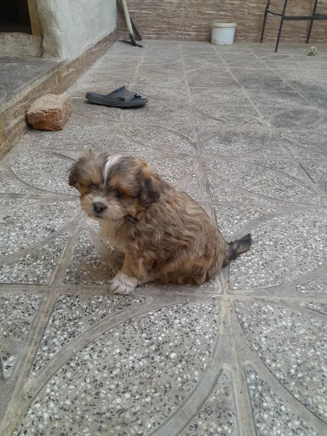 سگ پا کو تا|سگ|قم, منبع آب|دیوار