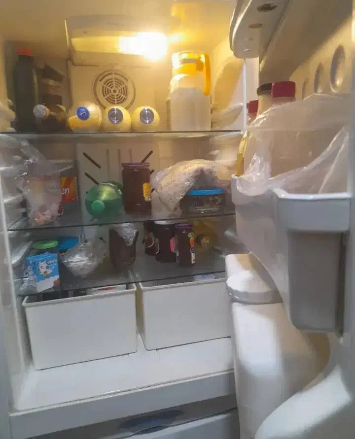 یخچال وفریزر|یخچال و فریزر|آستانه اشرفیه, |دیوار