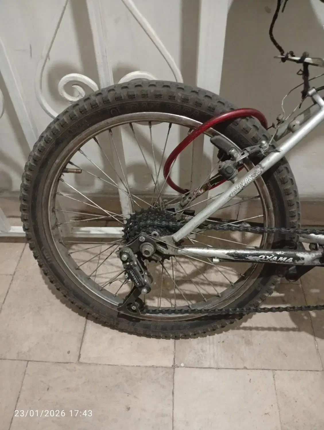 دوچرخه سایز ۲۰|دوچرخه، اسکیت، اسکوتر|تهران, افسریه شمالی|دیوار