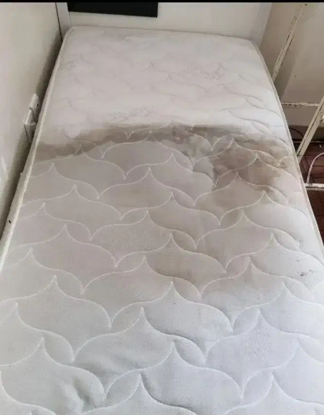 خدمات قالیشویی.مبل شویی باران30%(همکاری با ادارات)|خدمات نظافت|گلبهار, شهر جدید گلبهار|دیوار