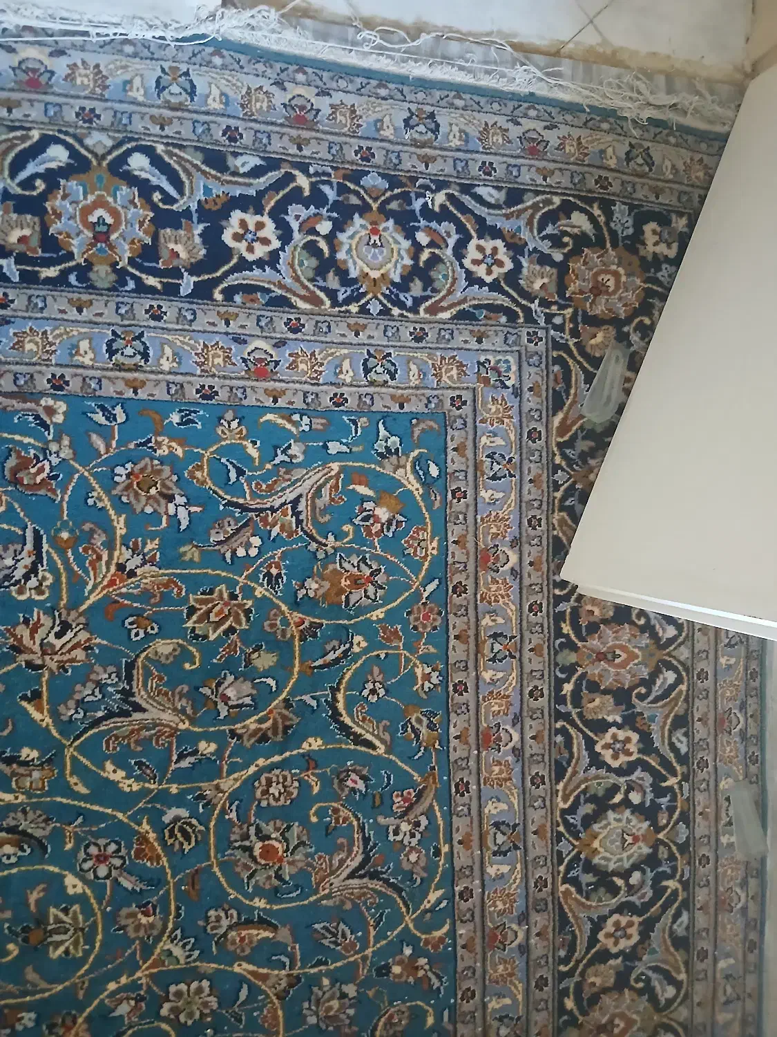 فرش دستباف ۹ متری کاشمر|فرش|پردیس, فاز ۳|دیوار