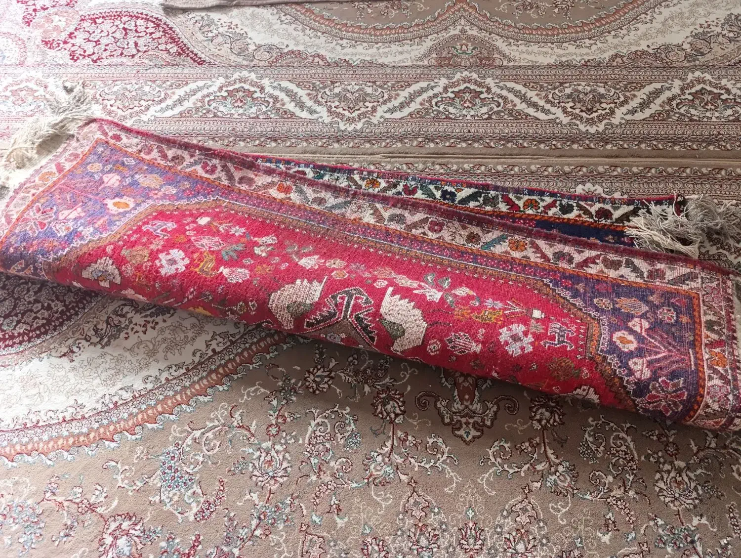 قالی دستباف|فرش|جهرم, |دیوار