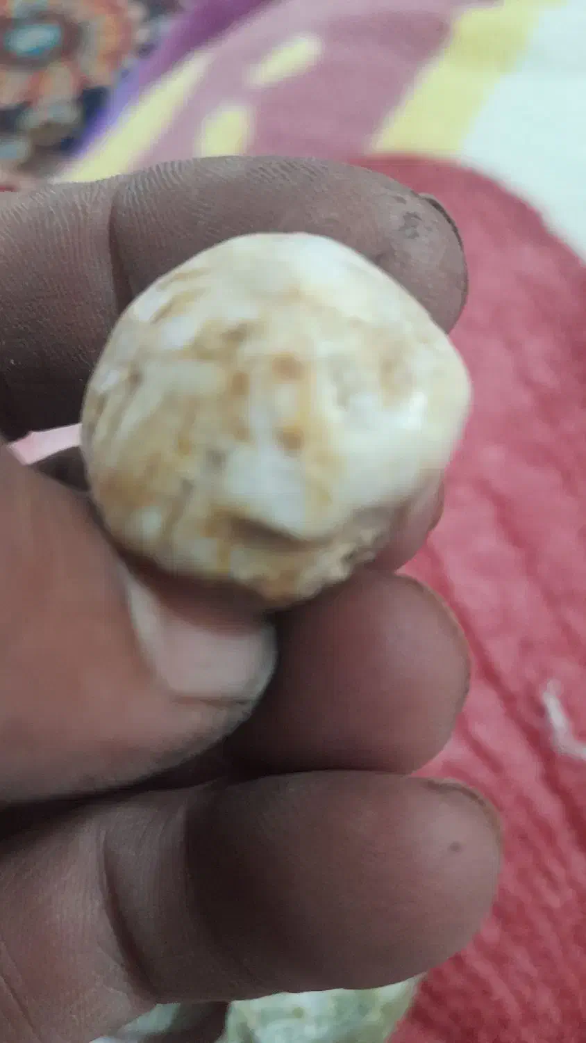 فروش چند عدد سنگ قیمتی|کلکسیون اشیاء عتیقه|اشتهارد, |دیوار