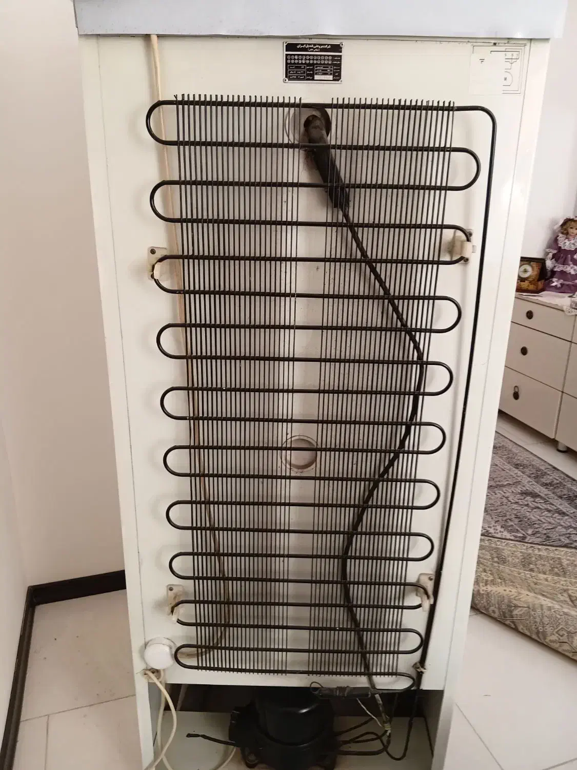 فریزر. سالم. قندیل. چینی|یخچال و فریزر|فردیس, قریشی|دیوار