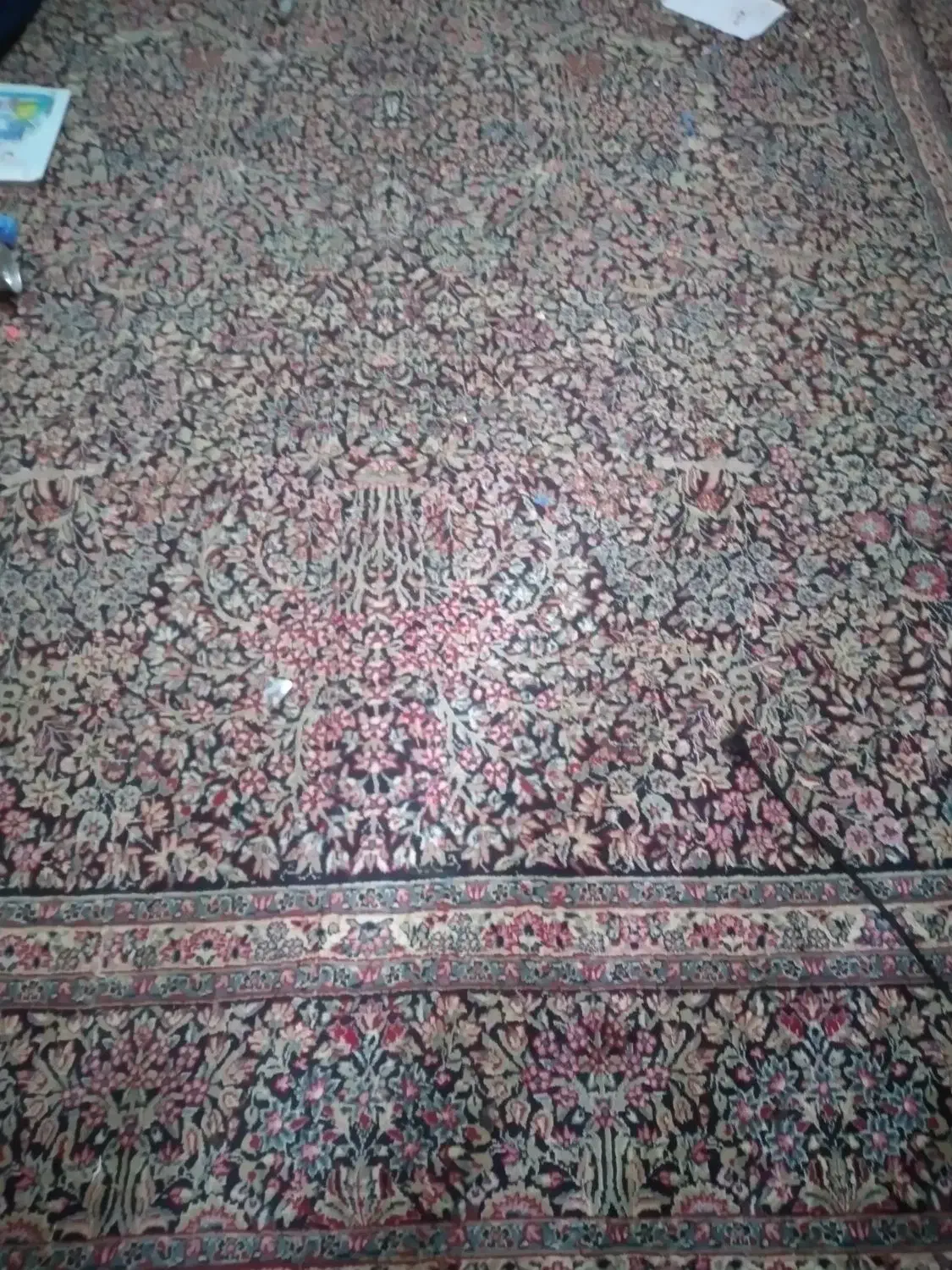 قالی 12متری 3*4|فرش|جیرفت, |دیوار