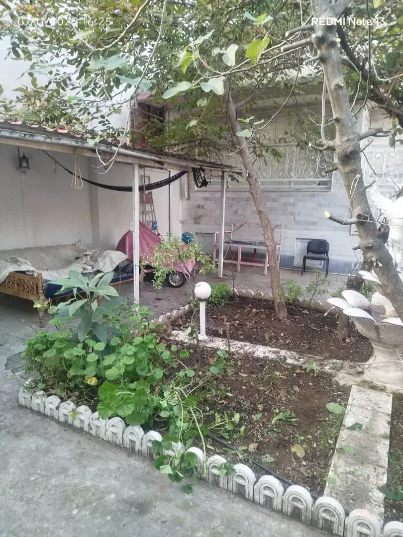 چمن زنی.علفزنی|خدمات باغبانی و درختکاری|رشت, کوی فکوری|دیوار