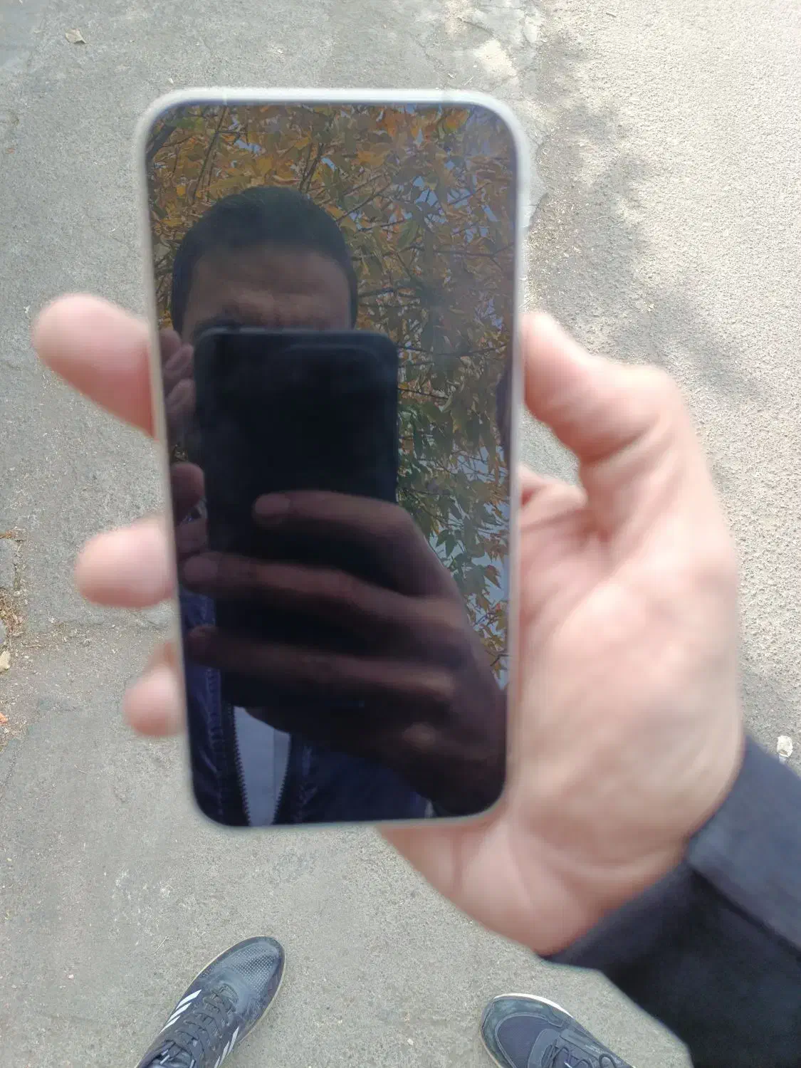 آیفون 13نرمال پک اصلی|موبایل|سلماس, |دیوار