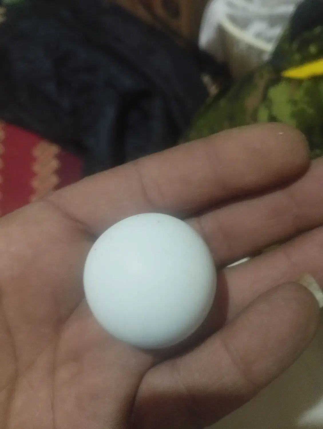 سنگ آسیاب|کلکسیون اشیاء عتیقه|مرودشت, فاز اول شهرک فرهنگیان|دیوار