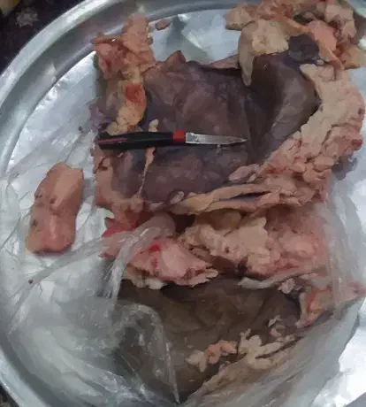 روغن شتر مرغ ارگانیک|آرایشی، بهداشتی، درمانی|نظرآباد, نظرآباد|دیوار