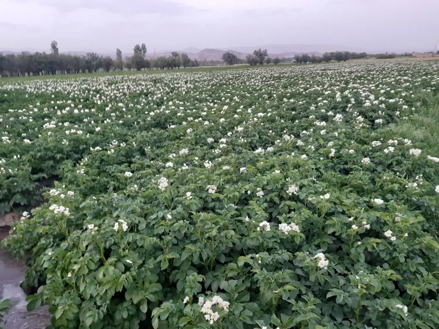 اجاره ۸۰ متری|اجارهٔ دفتر صنعتی، کشاورزی، تجاری|عجب شیر, |دیوار