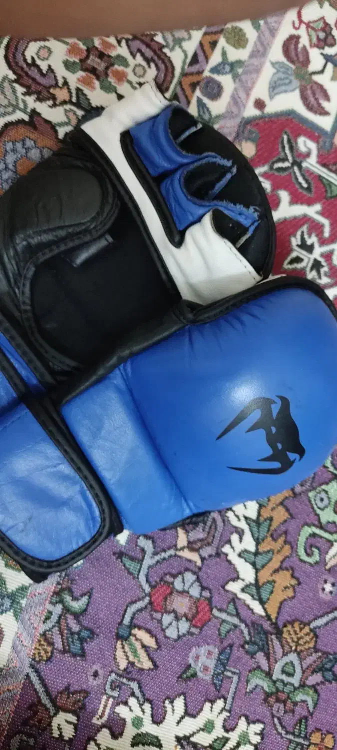 دستکش MMA|تجهیزات ورزشی|تربت‌حیدریه, بوستان باغ ملی|دیوار