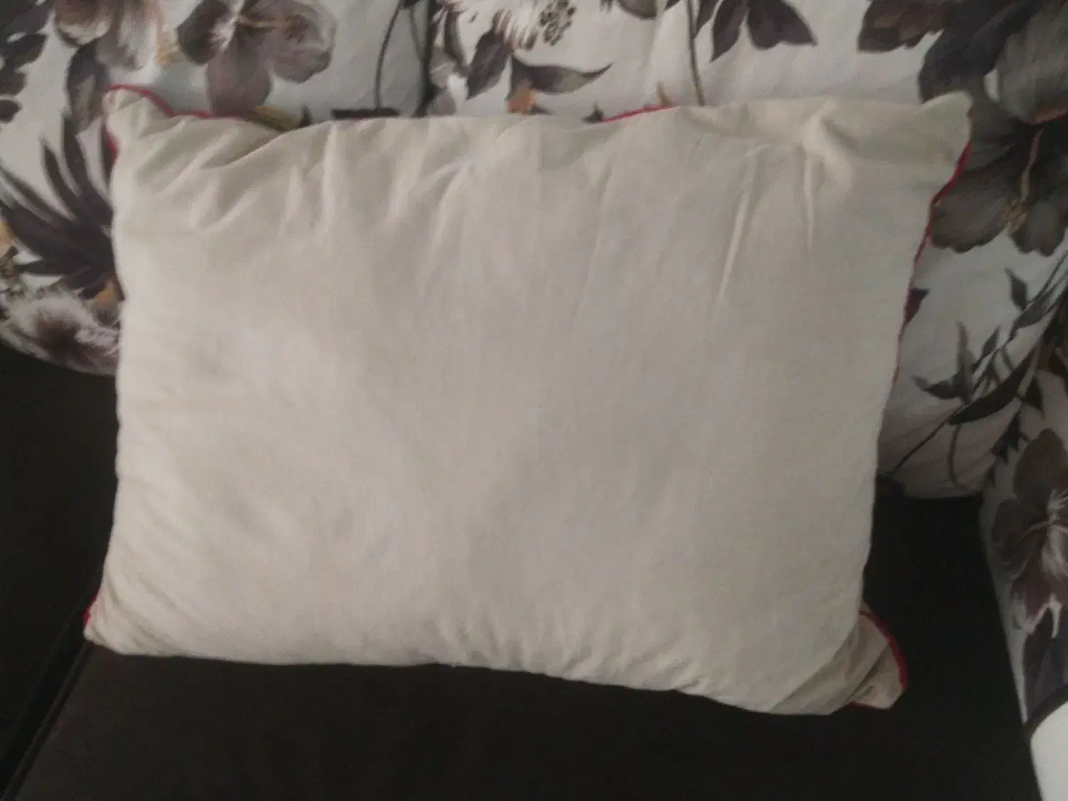 تشک مهمان دو نیم کیلو زیپ دار|رختخواب، بالش، پتو|ارومیه, |دیوار