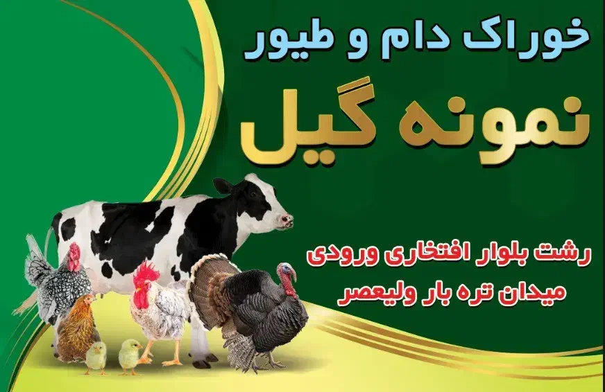 خوراک دام و طیور نمونه گیل|لوازم جانبی حیوانات|رشت, احمد گوراب|دیوار