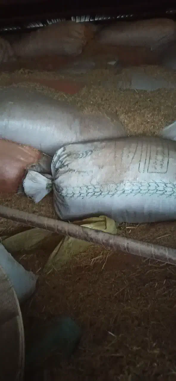 فروش کاه تمیز|لوازم جانبی حیوانات|اندیمشک, |دیوار