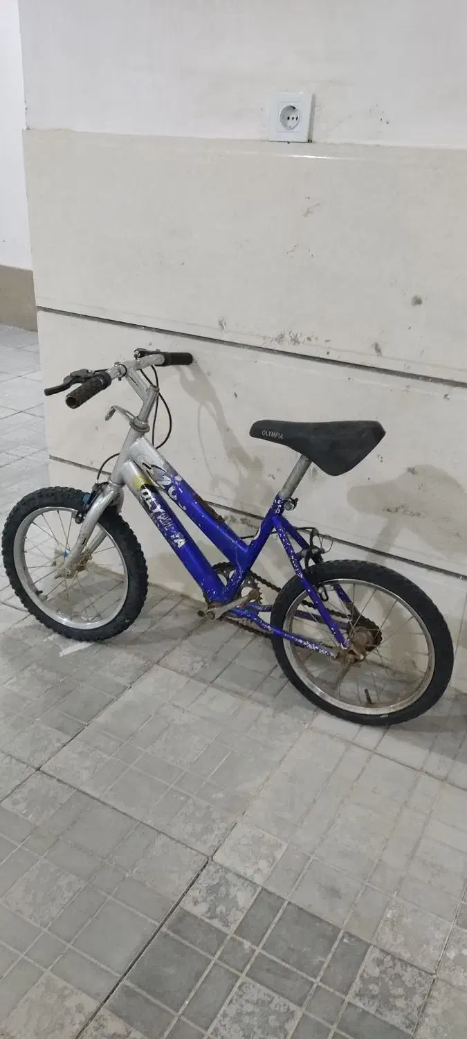 دوچرخه ۱۶|دوچرخه، اسکیت، اسکوتر|سبزوار, گلشن|دیوار