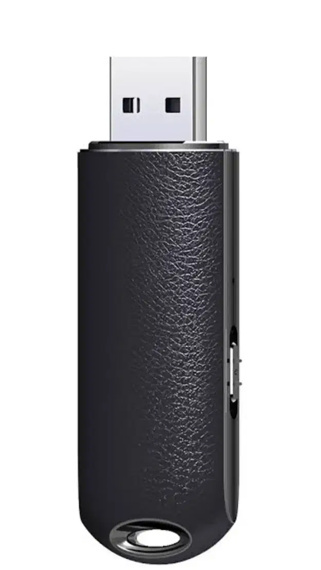 فلش ظبط صدا|سیستم صوتی خانگی|زابل, |دیوار