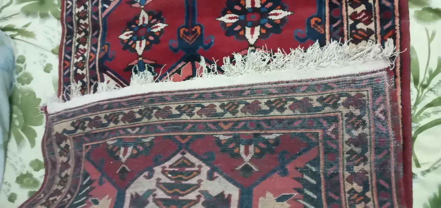 قالیچه دست دوم در حد نو|فرش|خمینیشهر, |دیوار