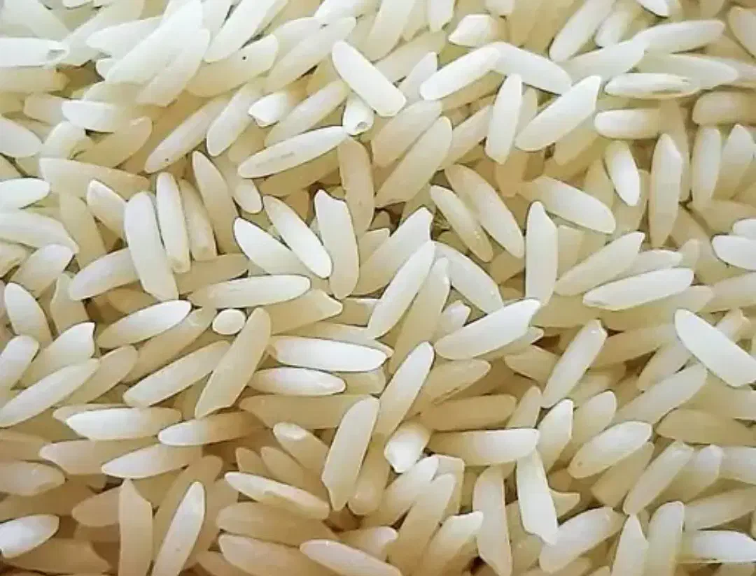 برنج هاشمی عمده با شرایط نقد و چک|خوردنی و آشامیدنی|تبریز, |دیوار