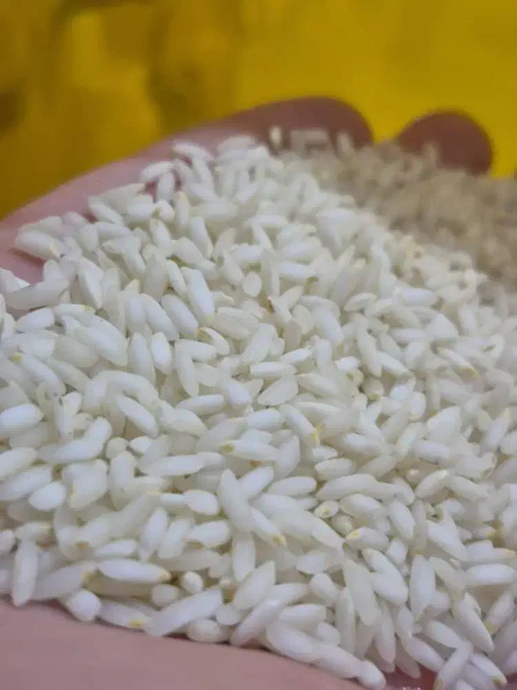 برنج عنبربو اصل خوزستان|خوردنی و آشامیدنی|قم, پردیسان|دیوار