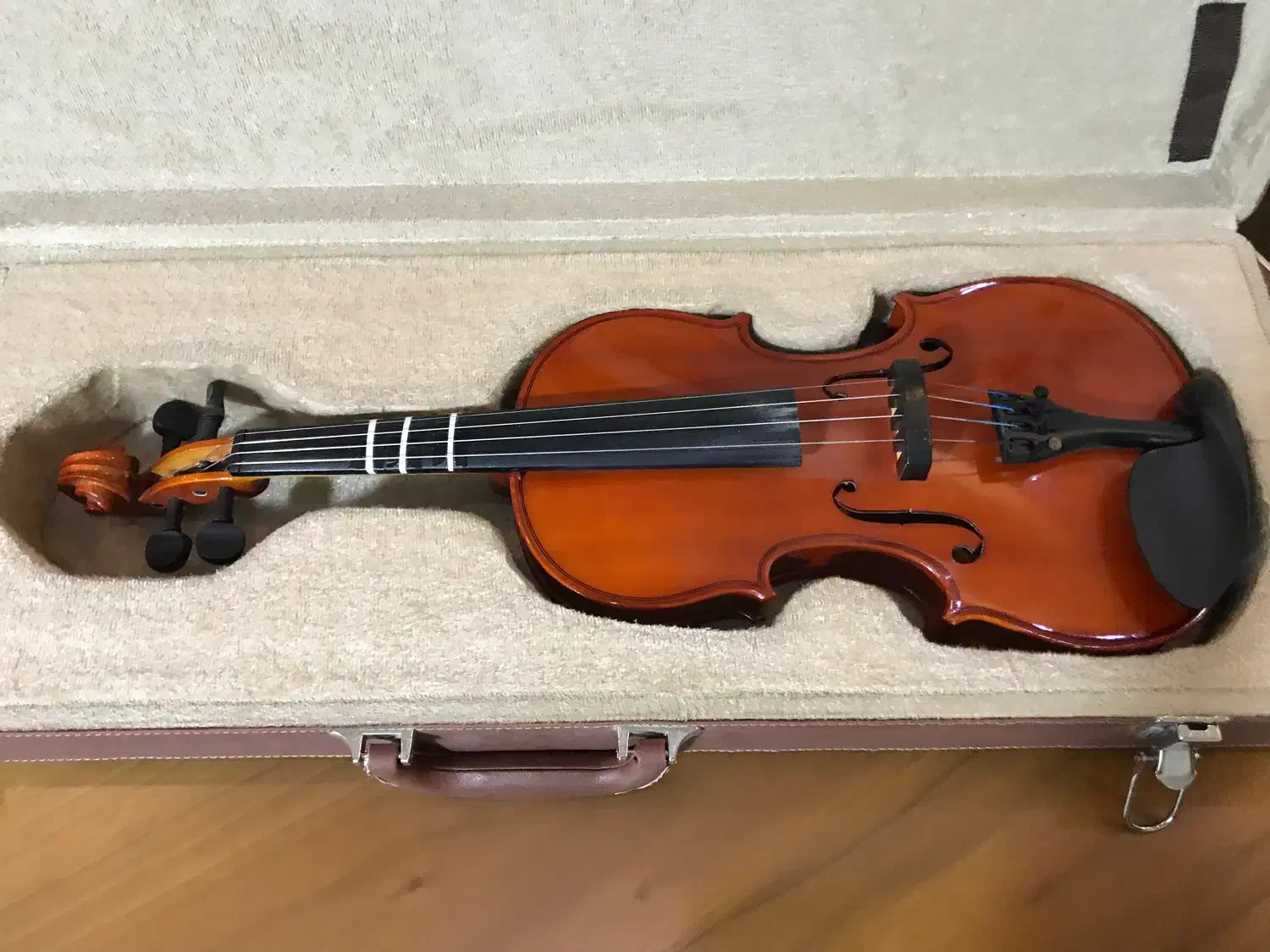 ویولن|ویولن|رشت, بلوار گیلان|دیوار