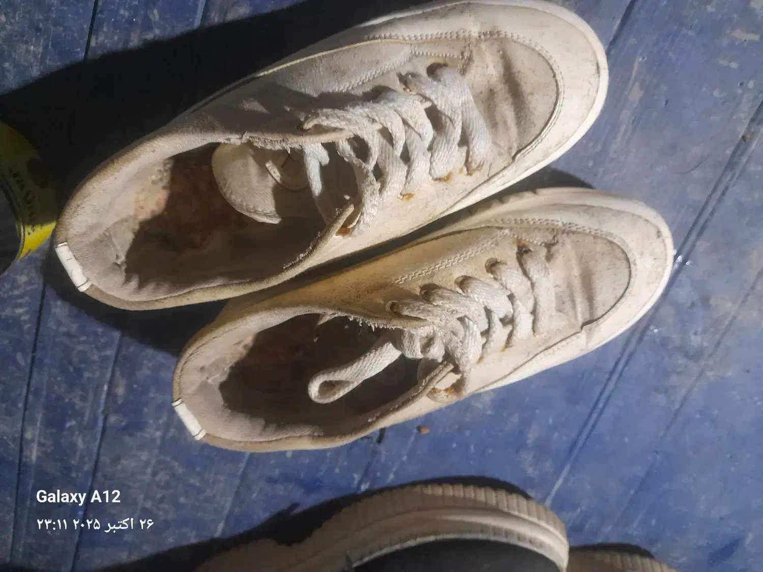 کفش|کیف، کفش، کمربند|رشت, عینک|دیوار