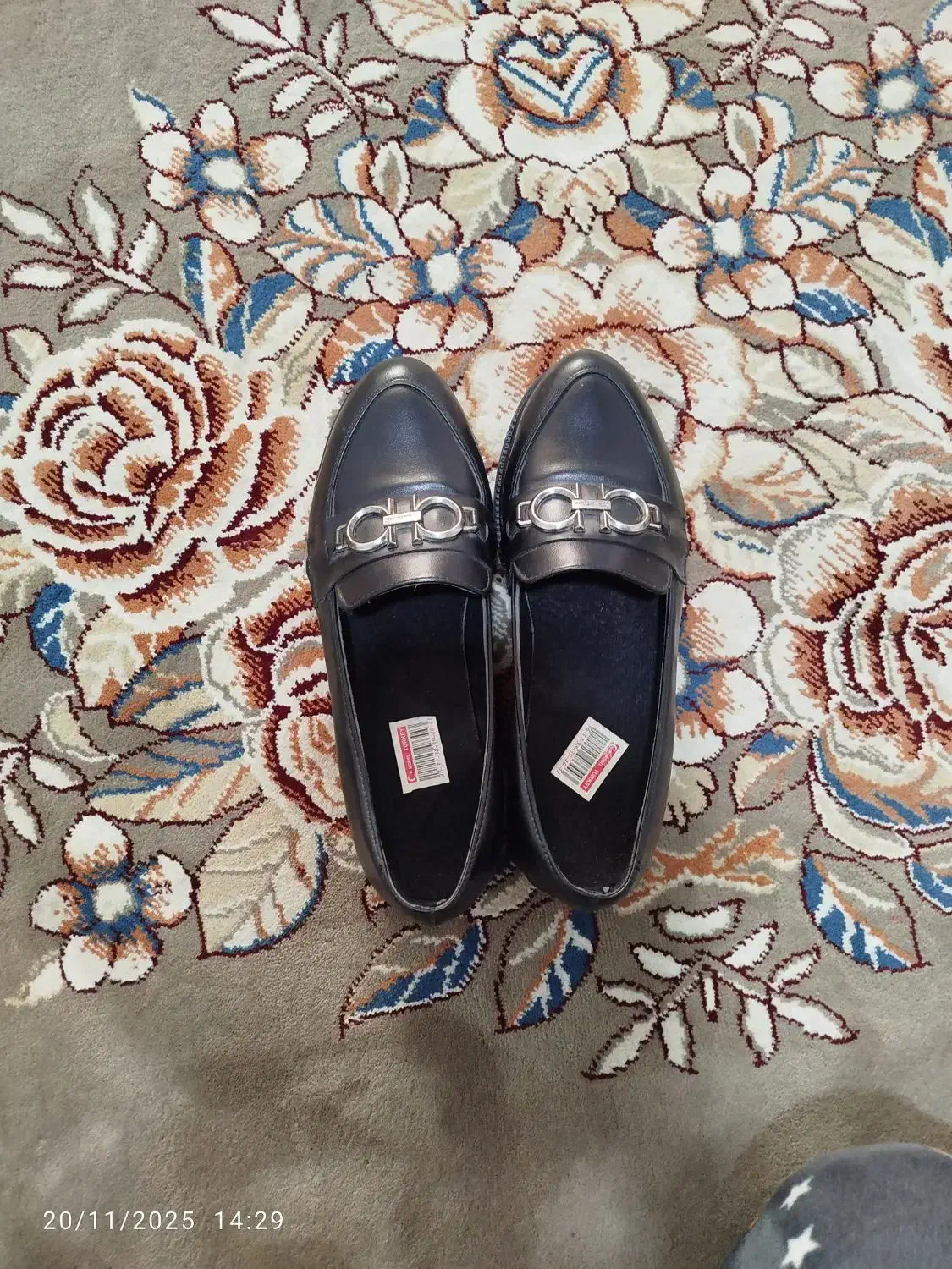 کفش کالج|کیف، کفش، کمربند|سبزوار, امام خمینی (ناوی)|دیوار