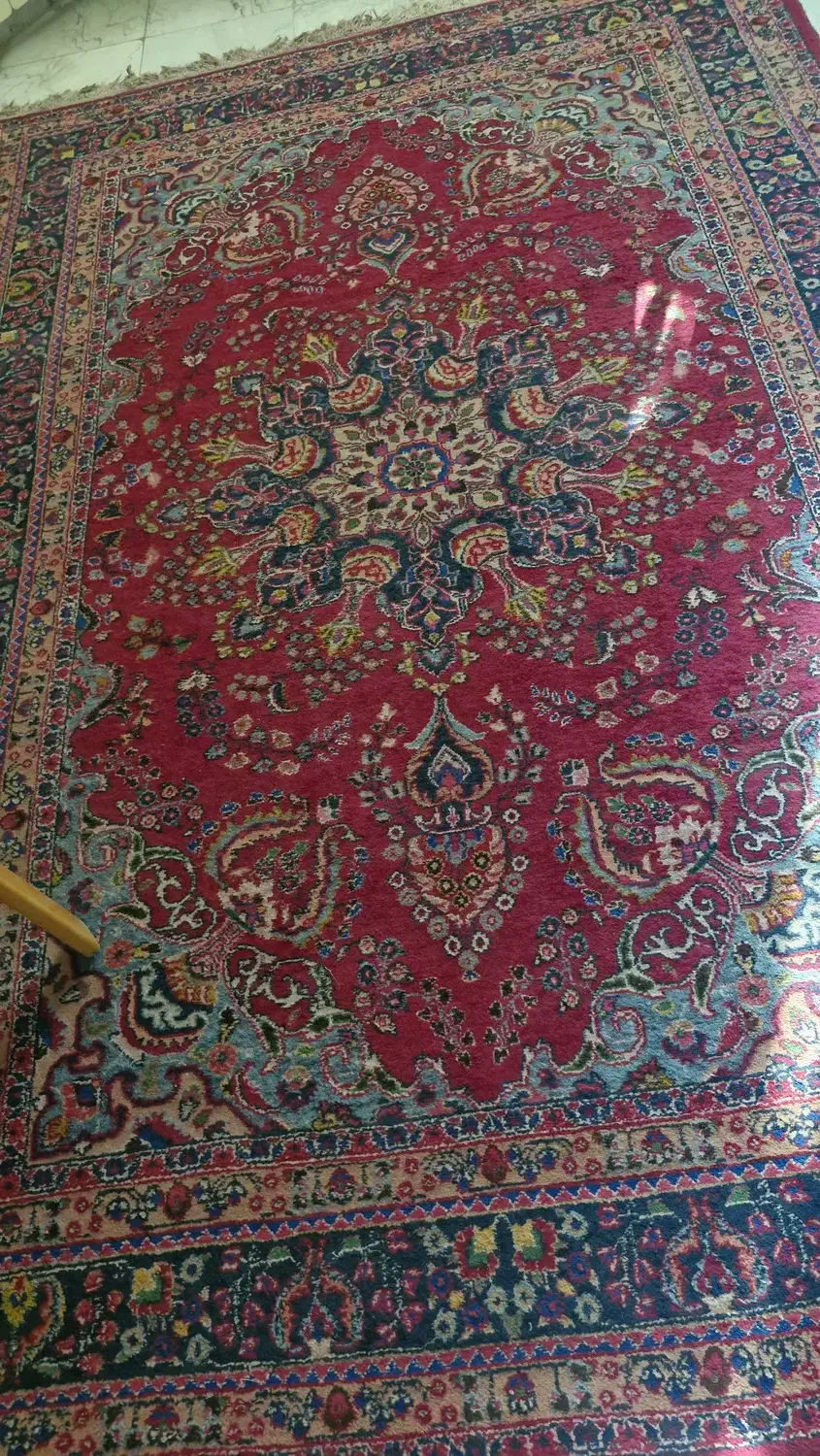 فرش ۶متری|فرش|شاهرود, |دیوار