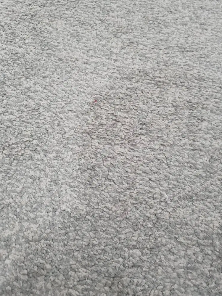 موکت|موکت|کرج, باغستان|دیوار