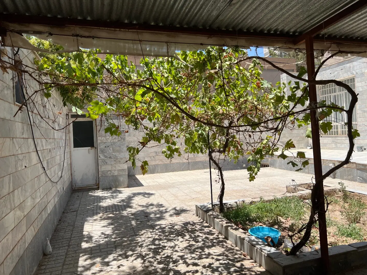 تصویر 6
