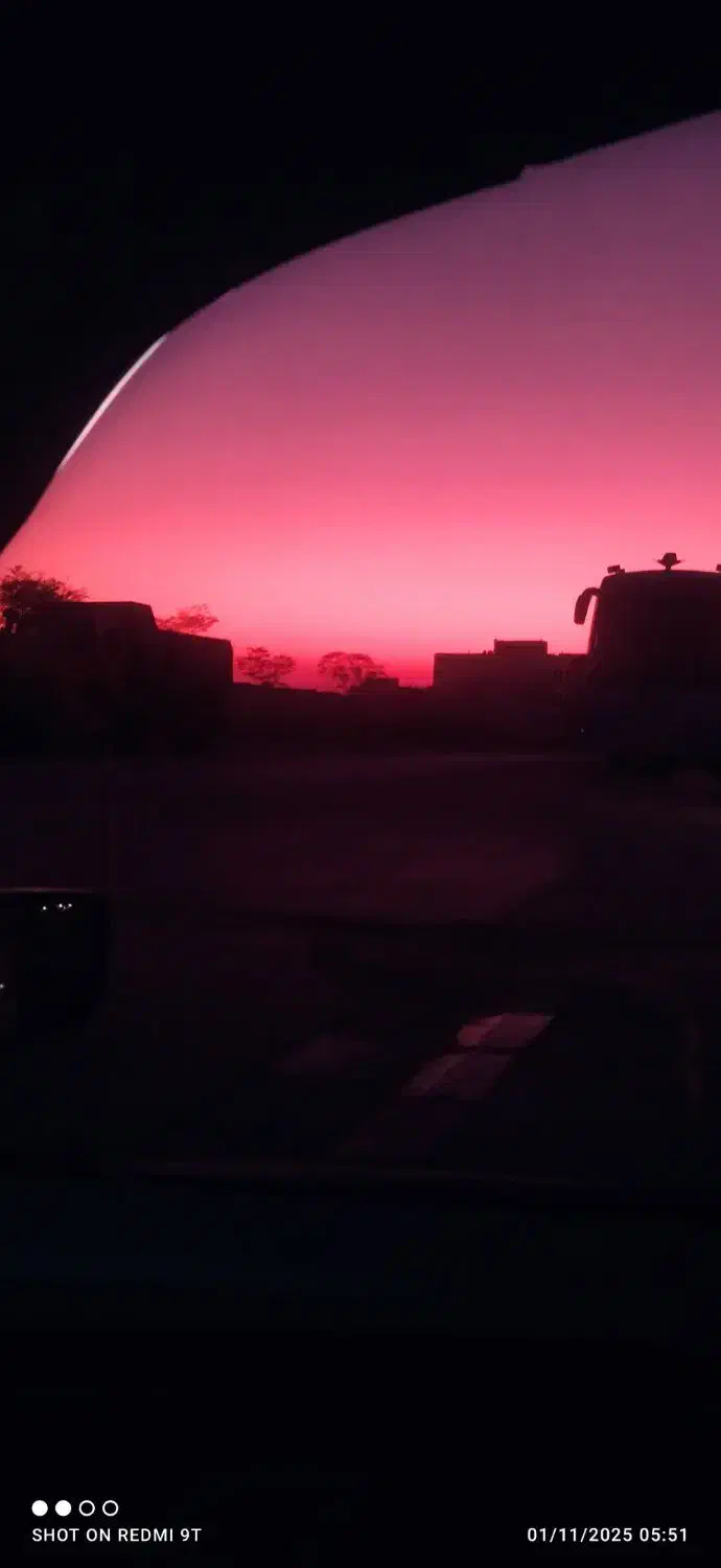 پیدا شدن سگ|سگ|شیراز, هفت تنان|دیوار