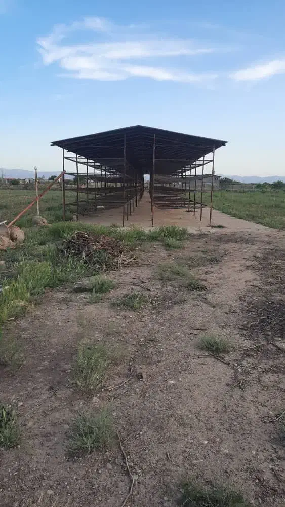 مشارکت در پرورش قارچ خوراکی و گیاهان و ماهی|خدمات باغبانی و درختکاری|تاکستان, |دیوار