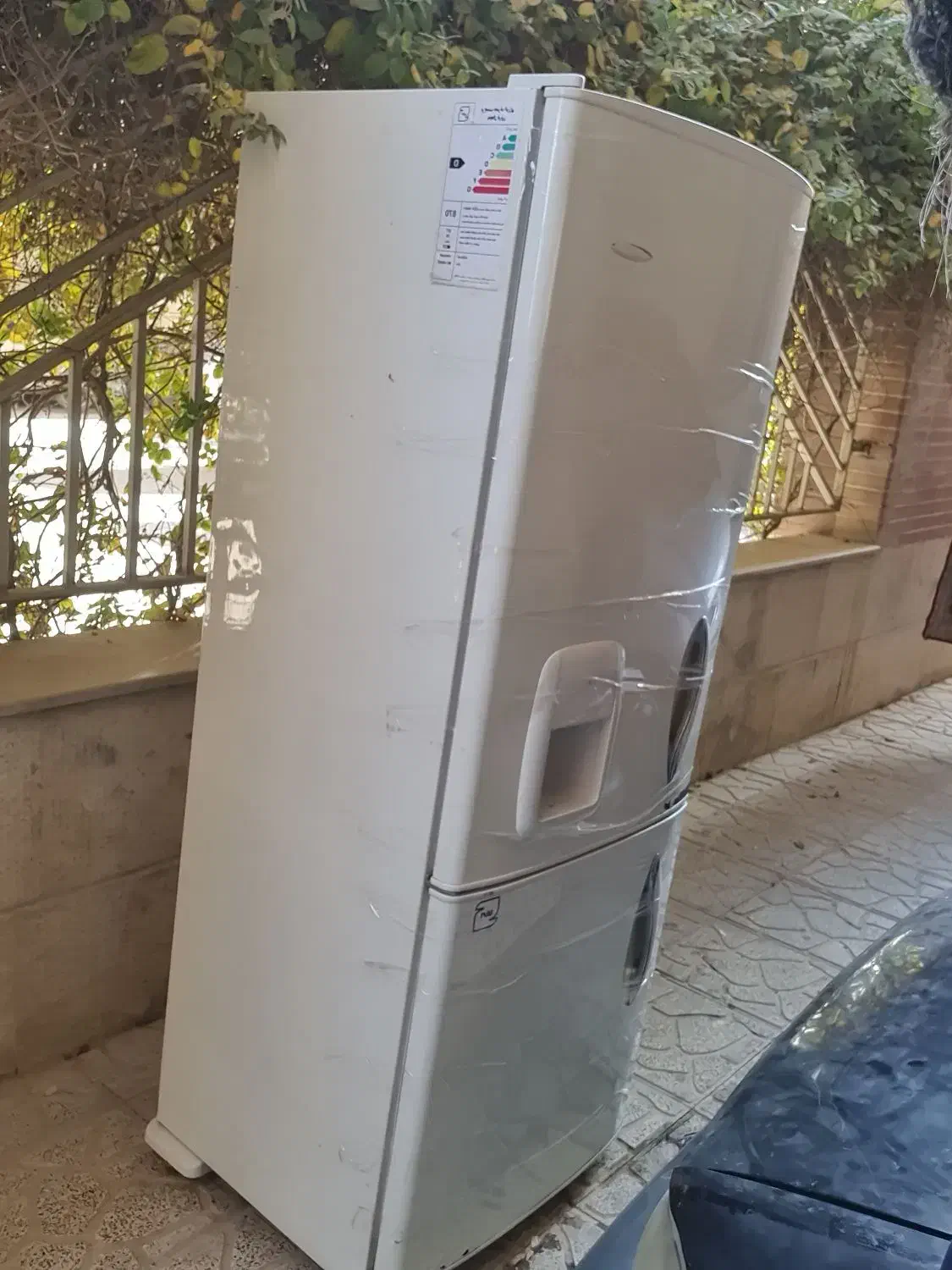 یخچال فریزر امرسال سالم تمیز|یخچال و فریزر|شاهینشهر, مسکن مهر|دیوار