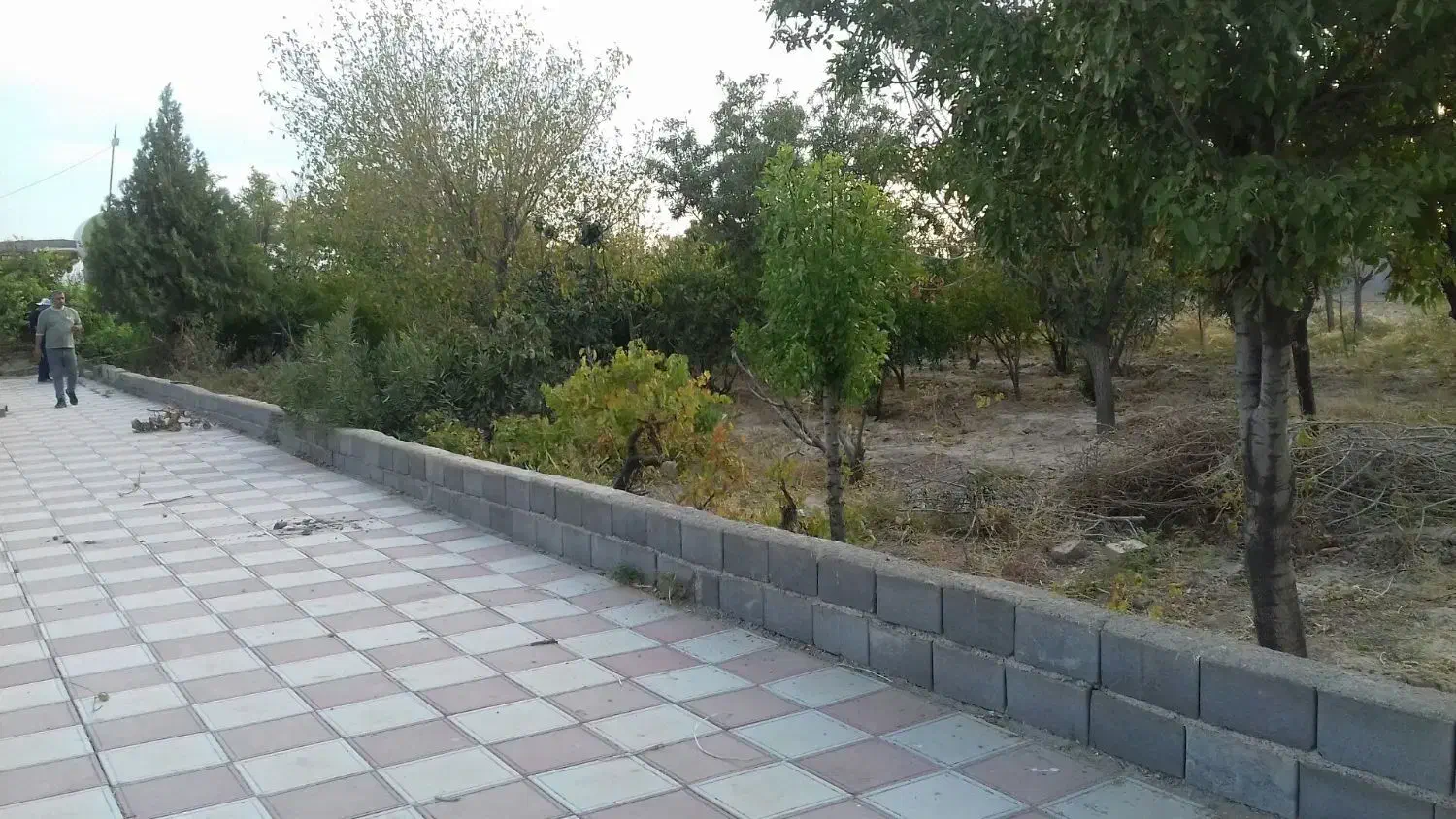 باغ باچهاردیواری ۳اتاق ۴۰متری گلخانه ۷۰۰متربرق|فروش دفتر صنعتی، کشاورزی، تجاری|فشاپویه, |دیوار