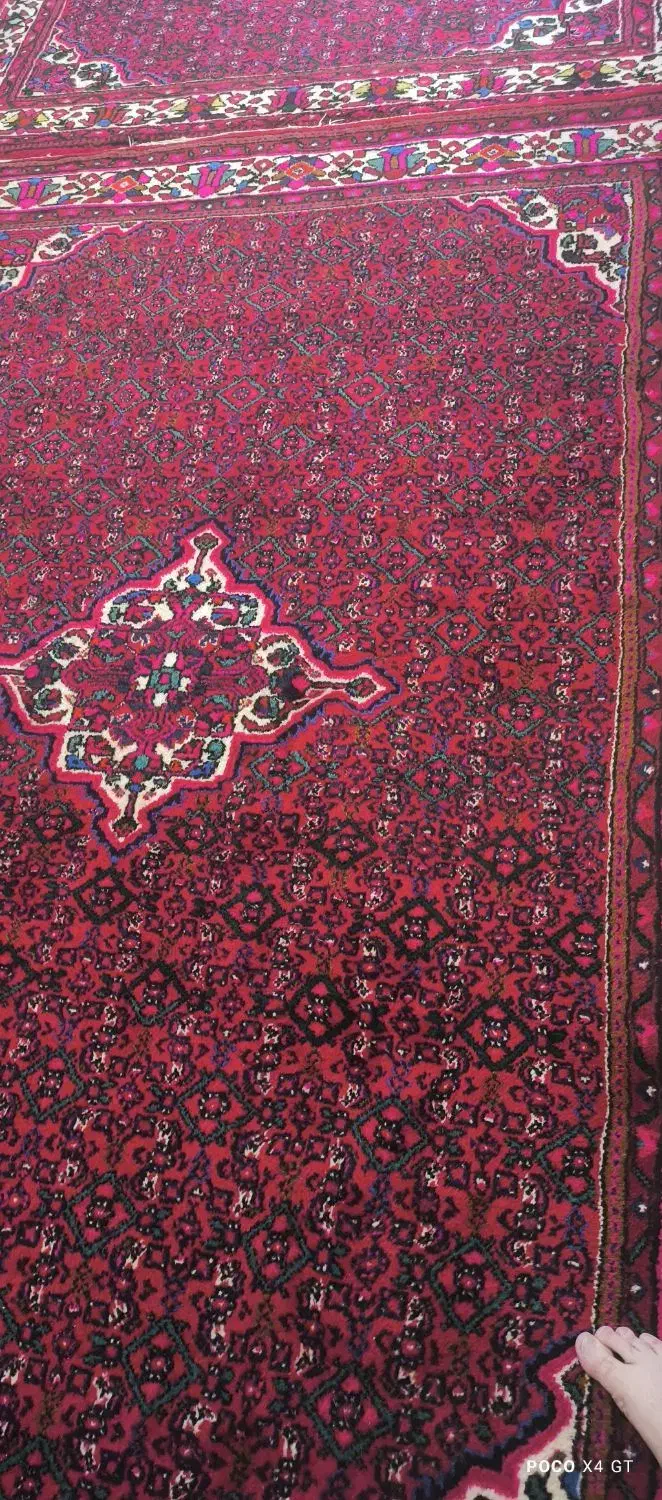 یک جفت فرش ازندریان ۶متری گوشتی و سالم|فرش|همدان, |دیوار