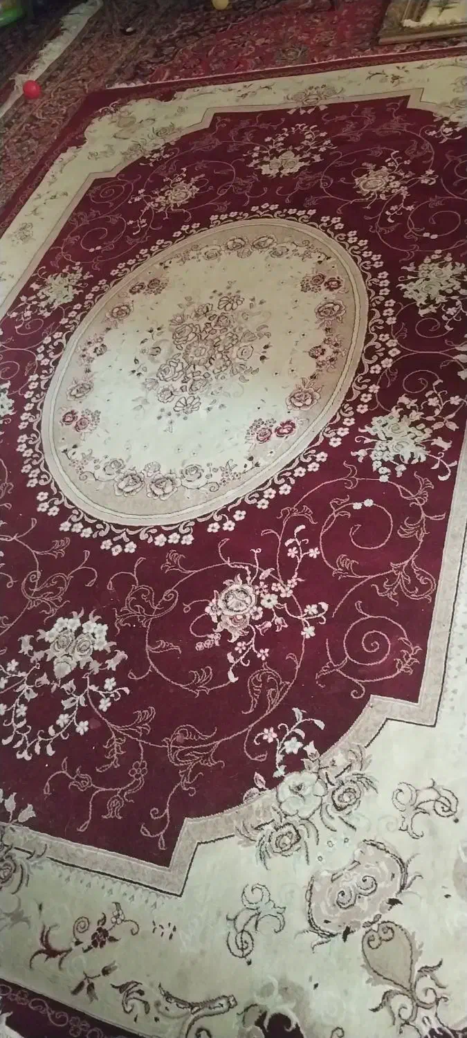 قالی ۹متری سالم|فرش|شیراز, تاچارا|دیوار
