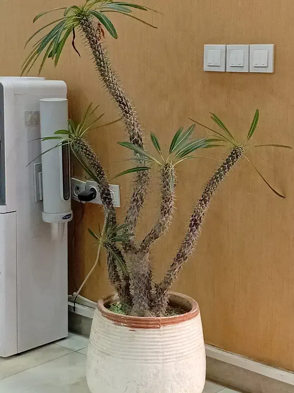 سیم کارت ۹۱۲|سیمکارت|تهران, مهران|دیوار