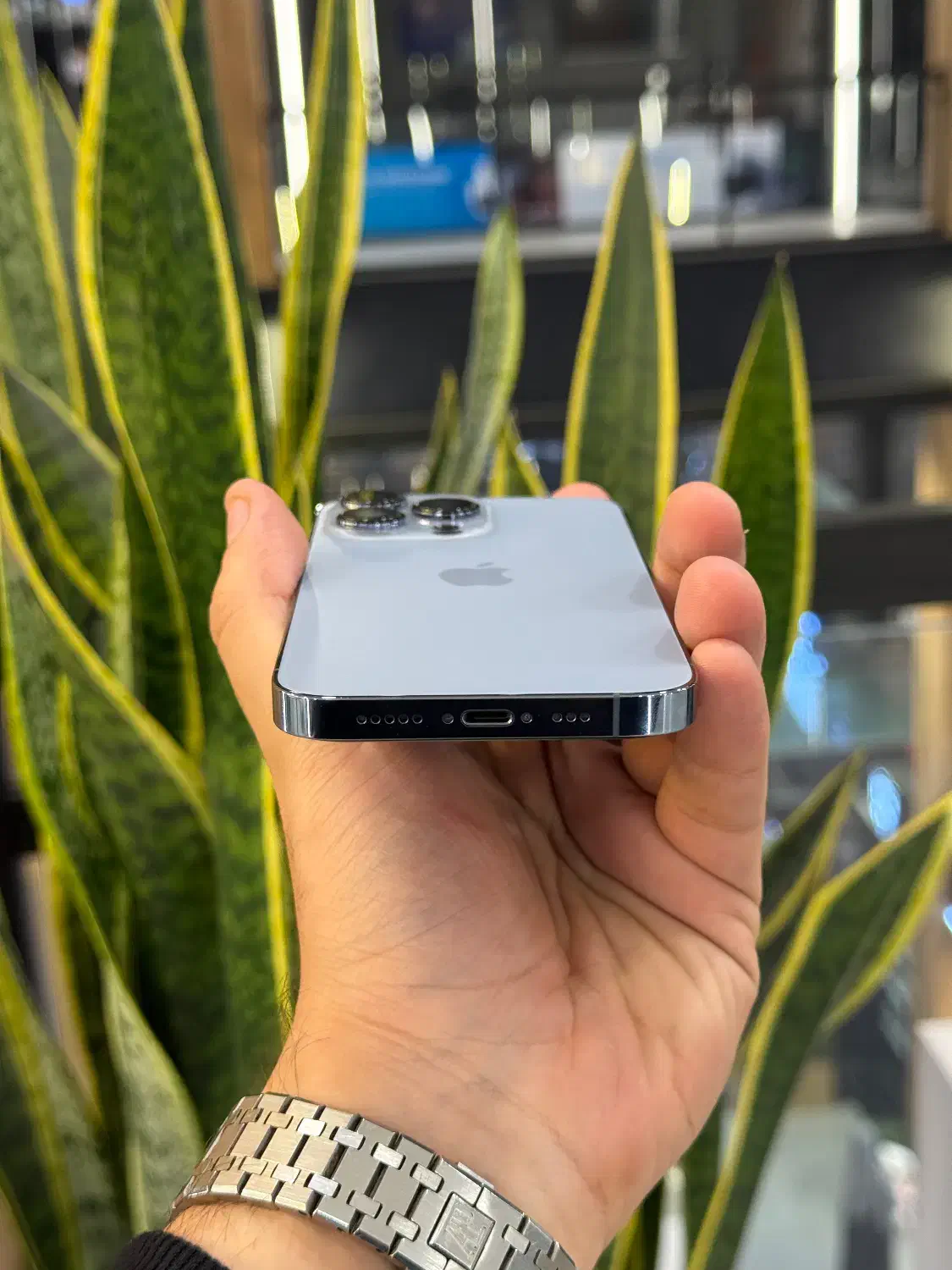 آیفون ۱۳پرو|موبایل|رشت, چله خانه|دیوار