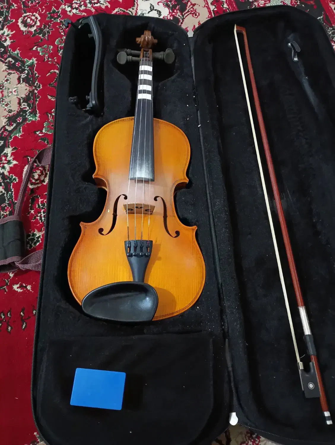 ویالون|ویولن|باوی, |دیوار