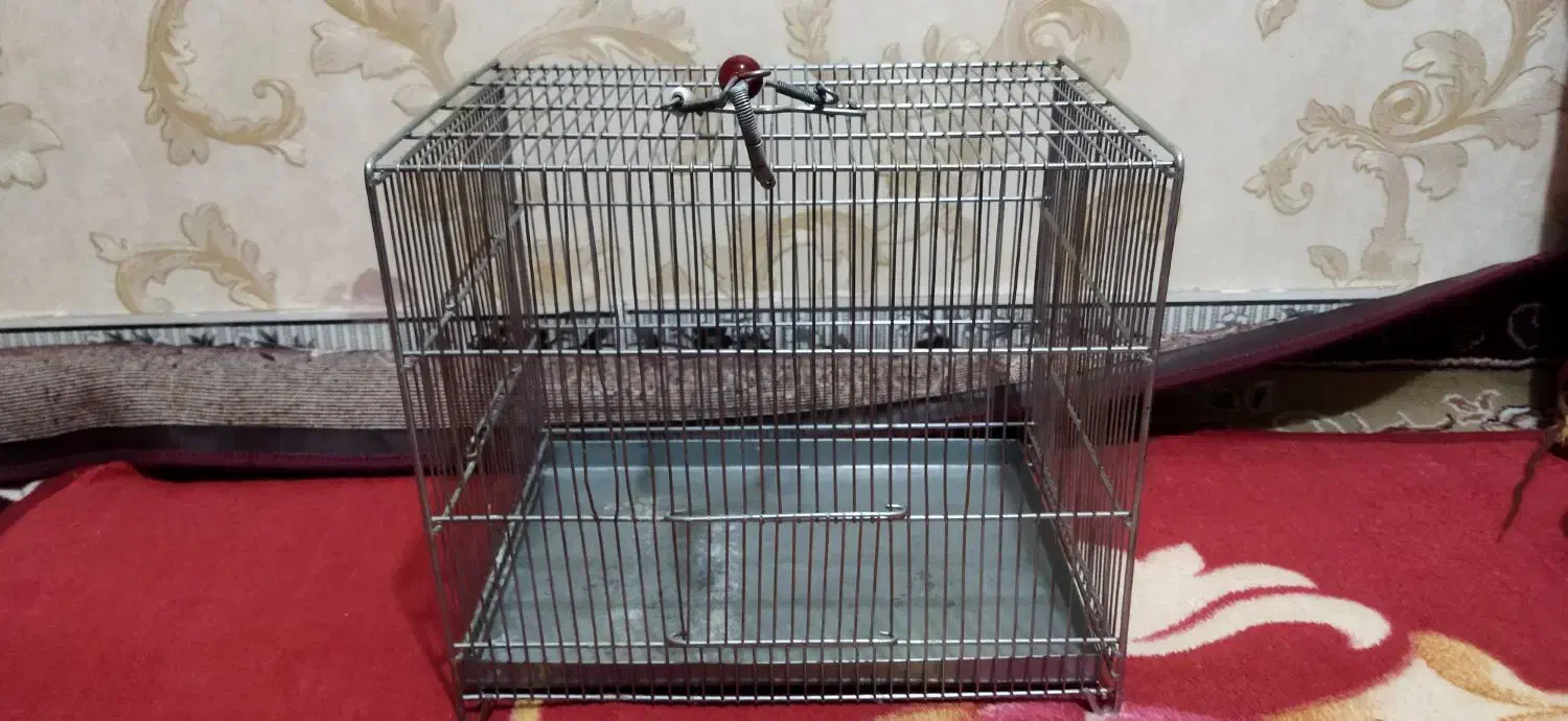 قفس پرنده|لوازم جانبی حیوانات|ایلام, |دیوار