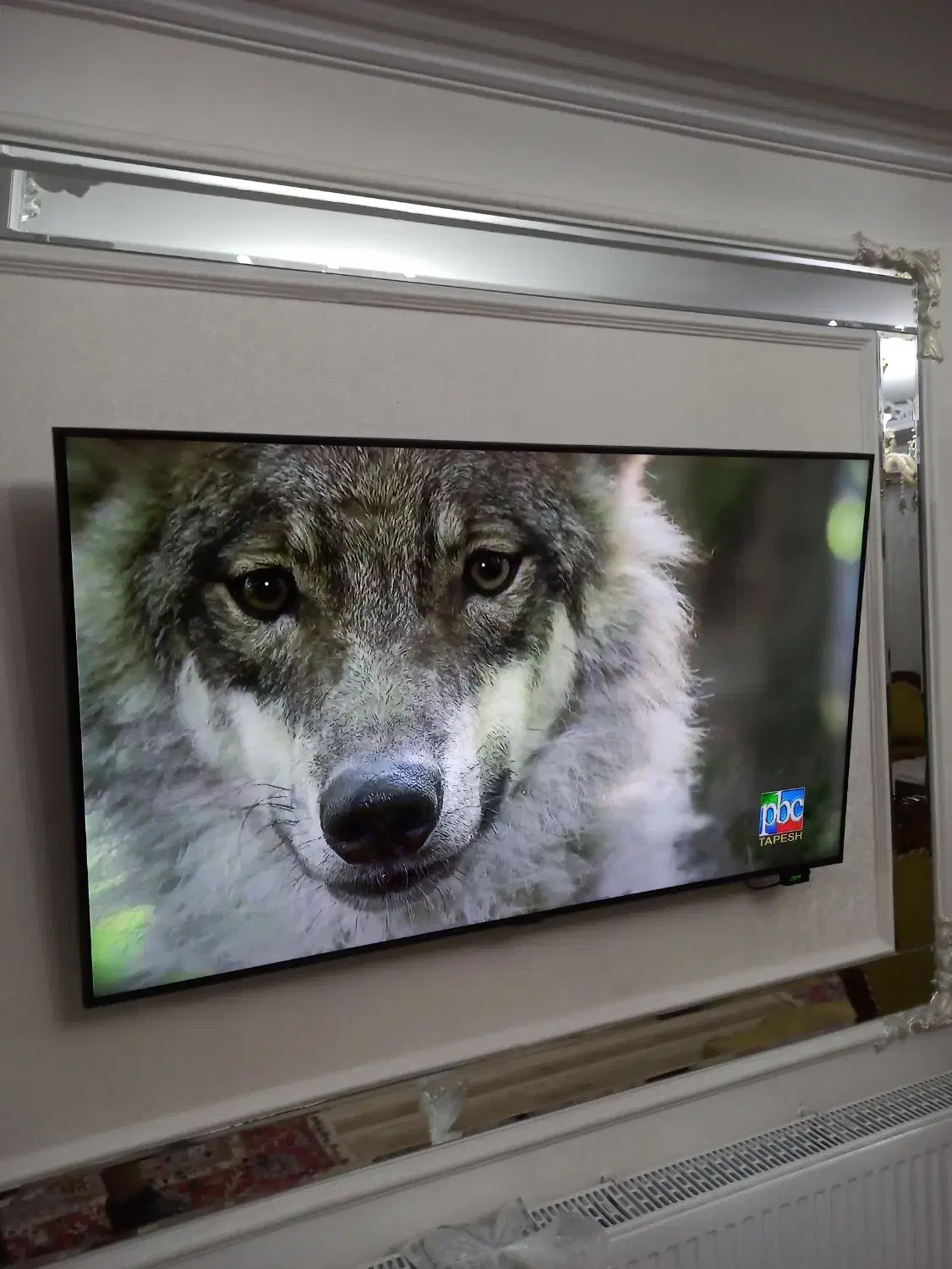 تلویزیون 50 اینچ سامسونگ|تلویزیون و پروژکتور|تبریز, |دیوار